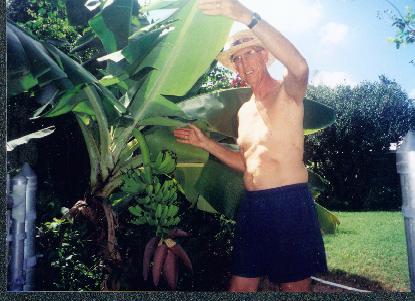 banana