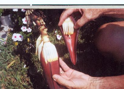 banana