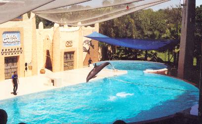 Busch Gardens