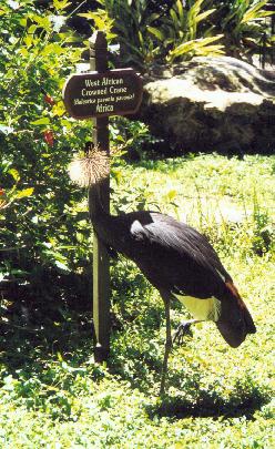 Busch Gardens
