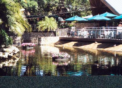 Busch Gardens