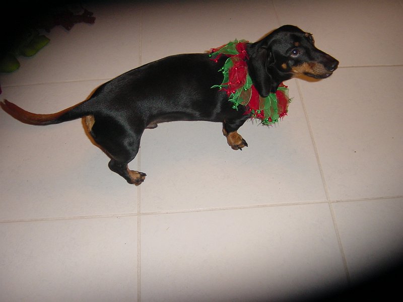 Christmas 2015