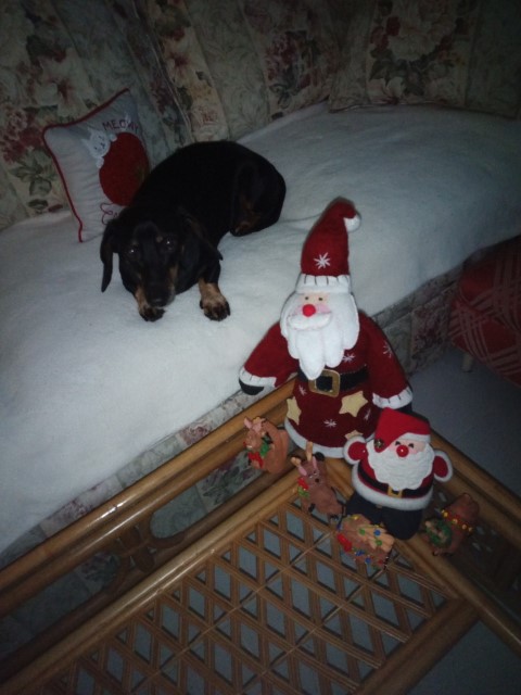 photo1