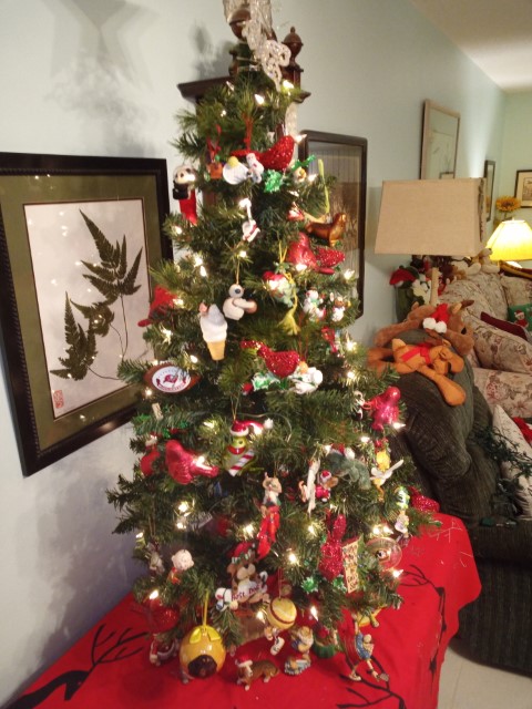photo1