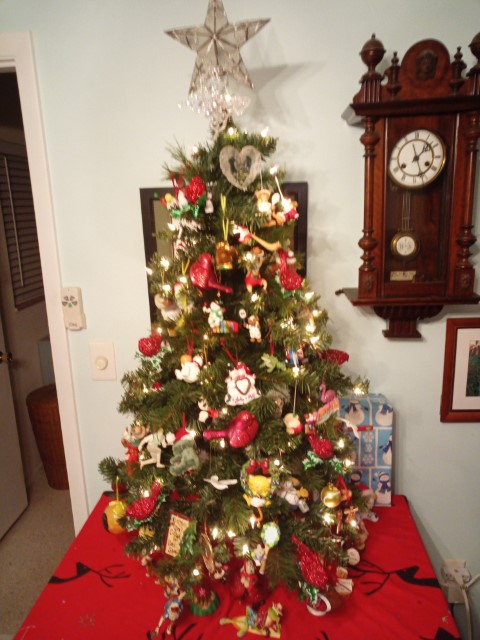 photo1