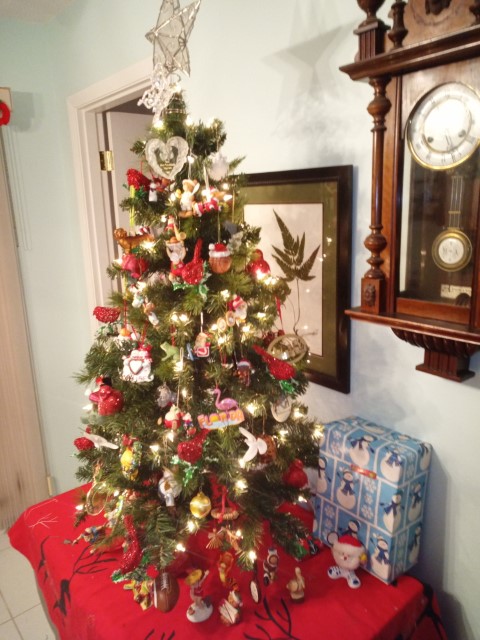 photo1