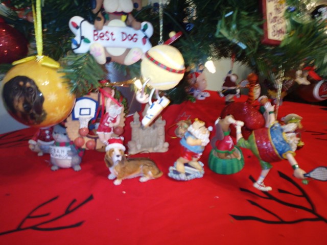 photo1