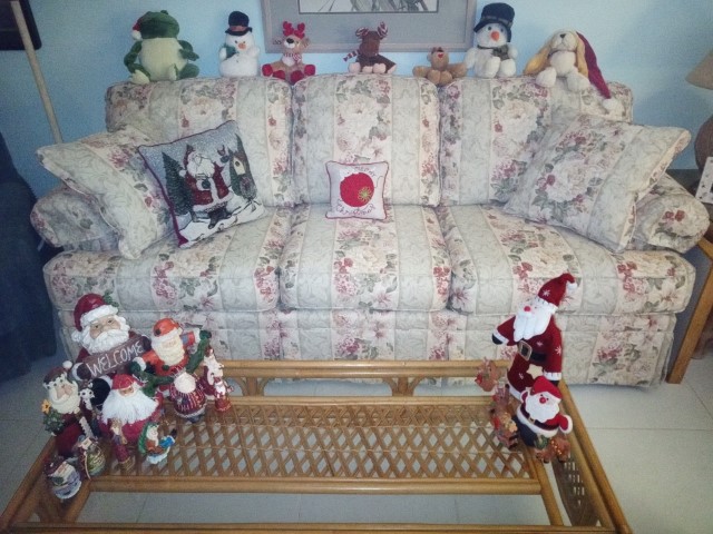 photo1