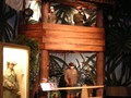 DSCN0431