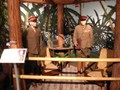 DSCN0434