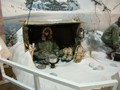 DSCN0479