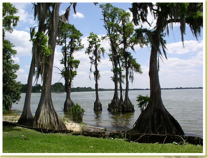cypress Gardens