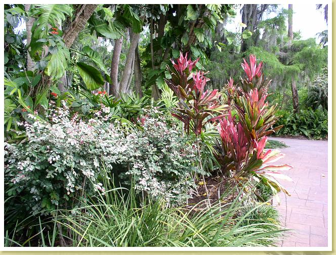 cypress Gardens