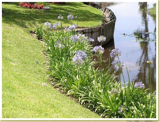 cypress Gardens