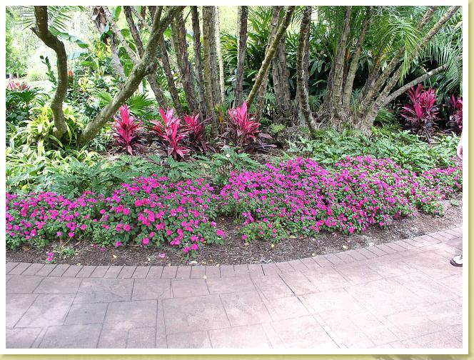 cypress Gardens