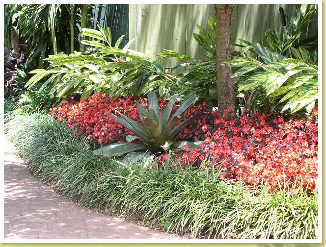 cypress Gardens