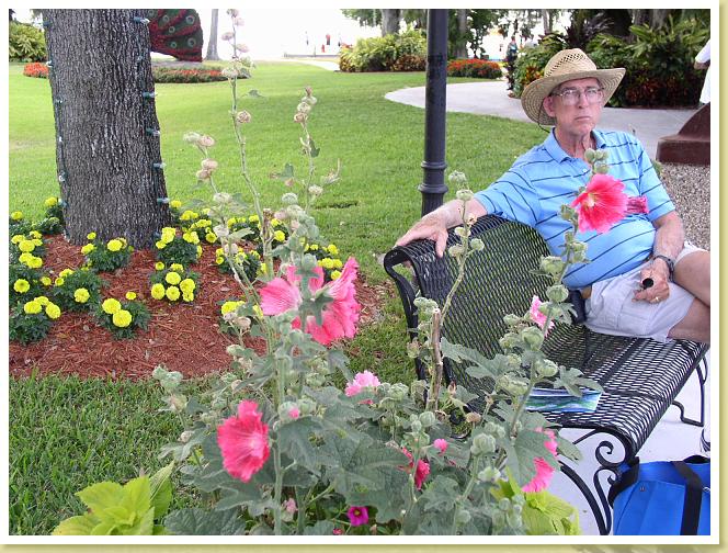cypress Gardens