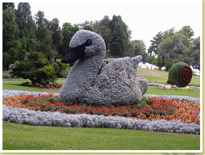 cypress Gardens
