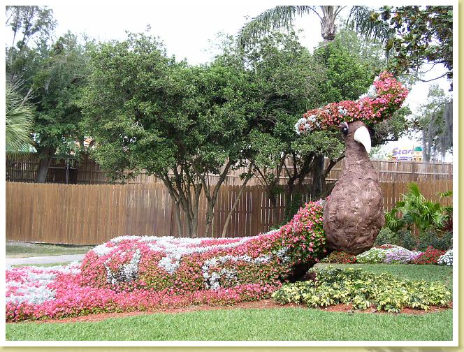 cypress Gardens