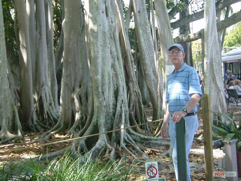 Edison-Ford Estate (14)