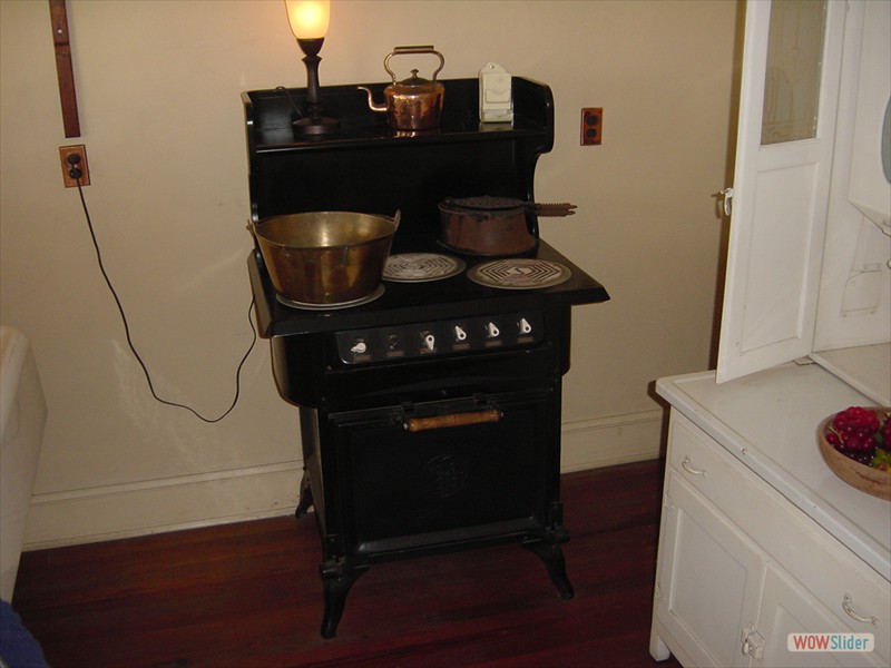 Edison-Ford Estate (35)