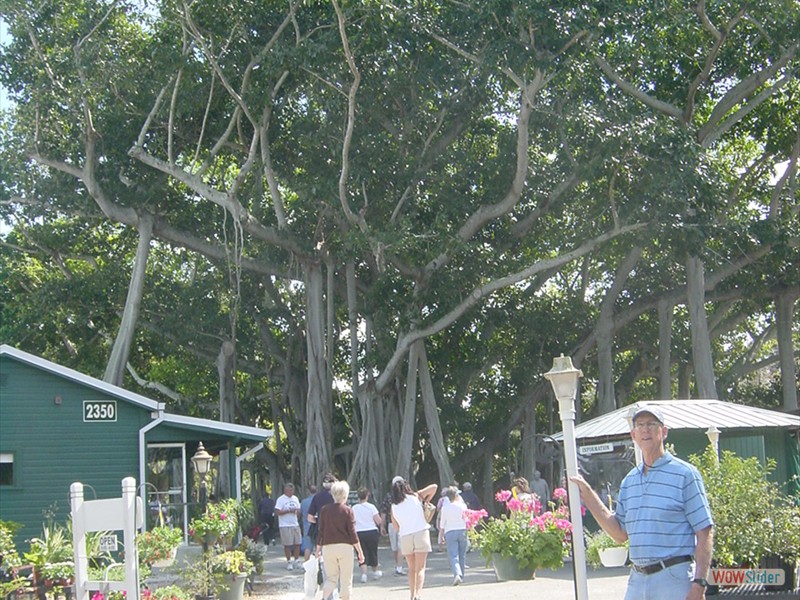 Edison-Ford Estate (53)
