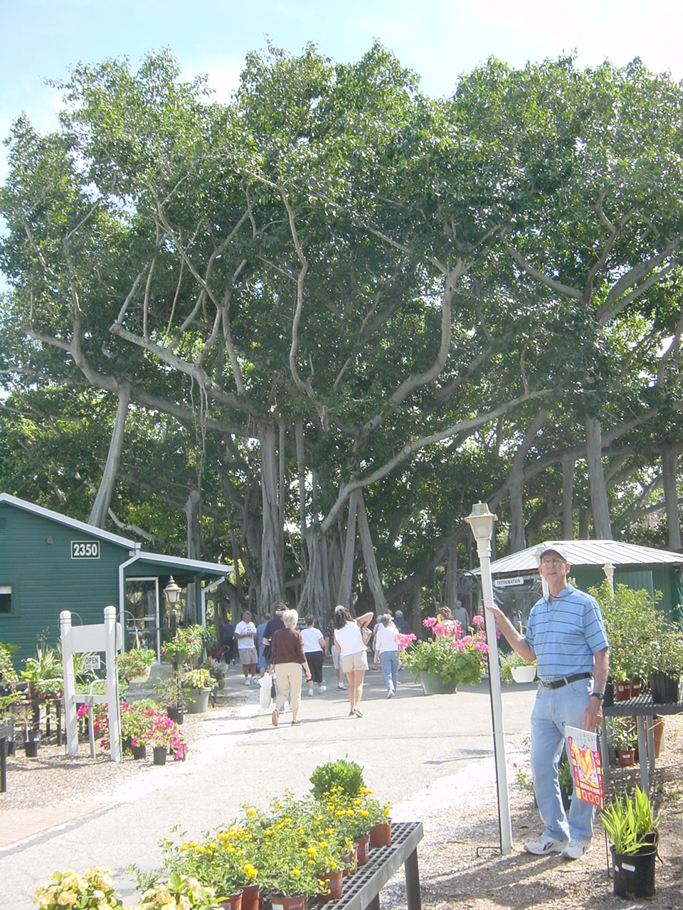 estate