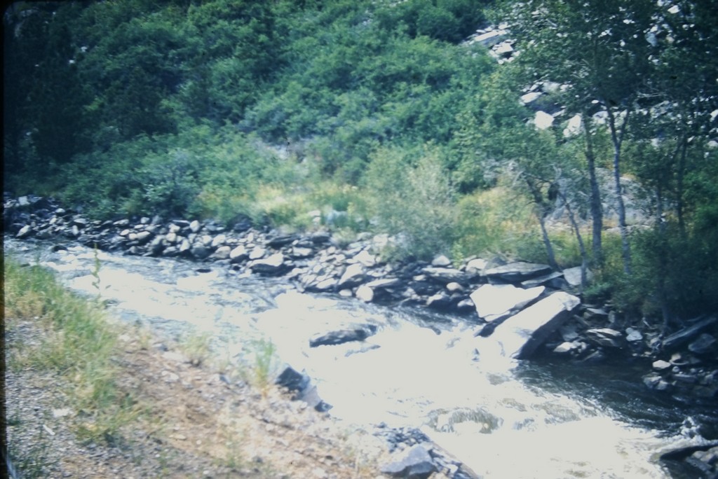 YMCA Camp