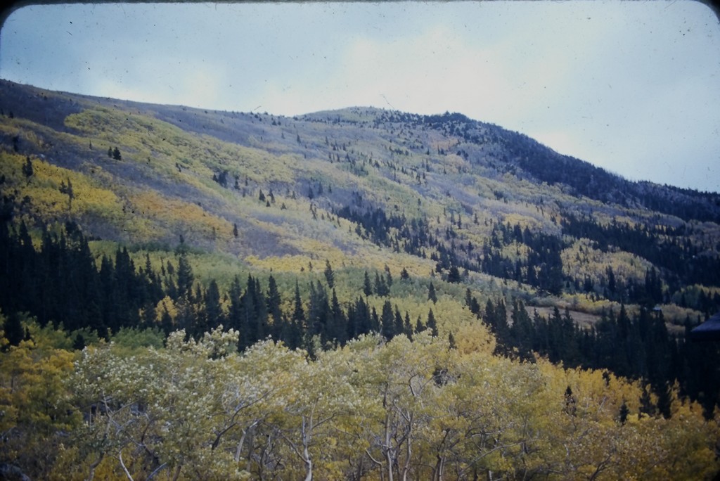 YMCA Camp