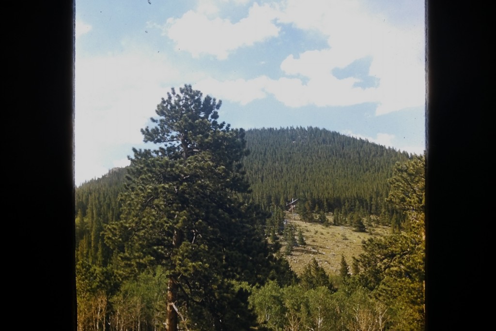 YMCA Camp