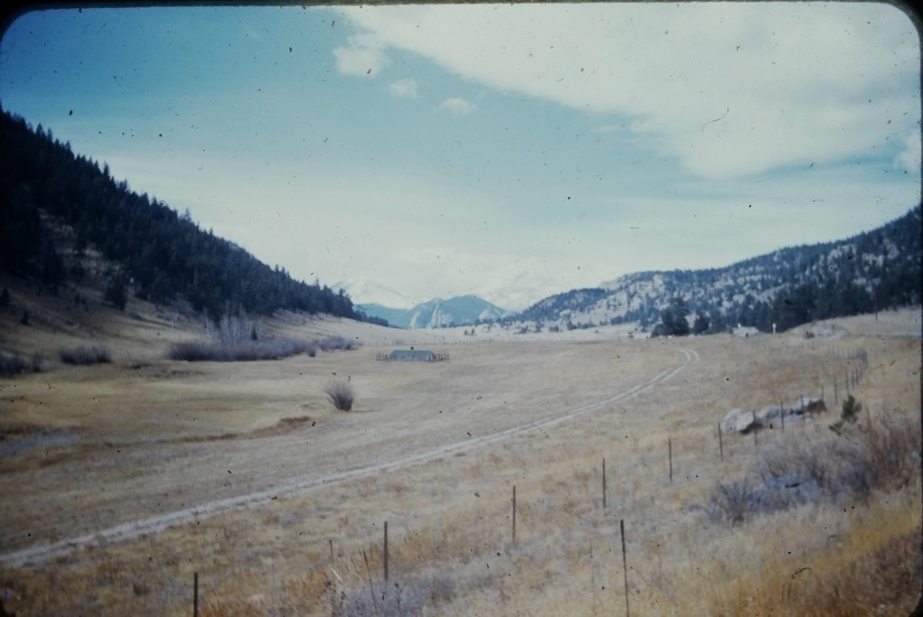 YMCA Camp