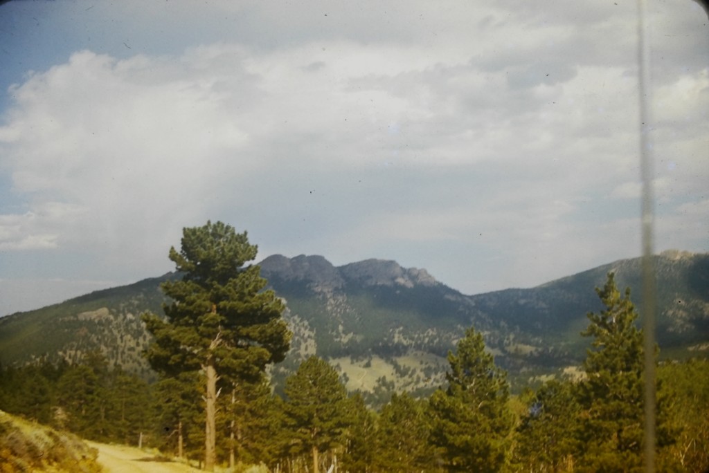YMCA Camp