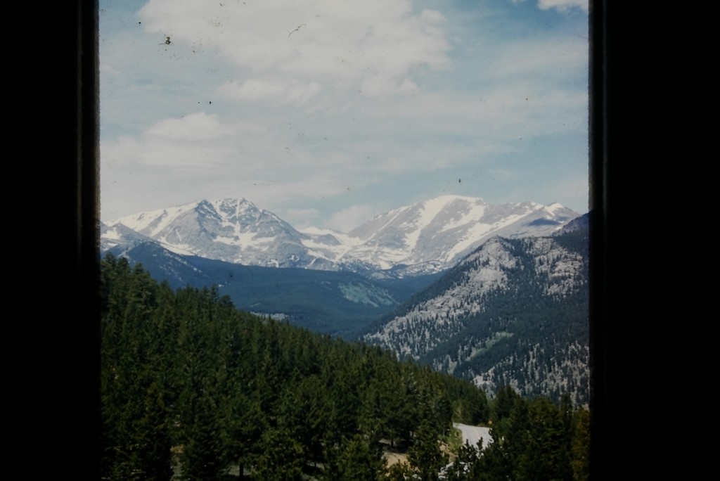 YMCA Camp