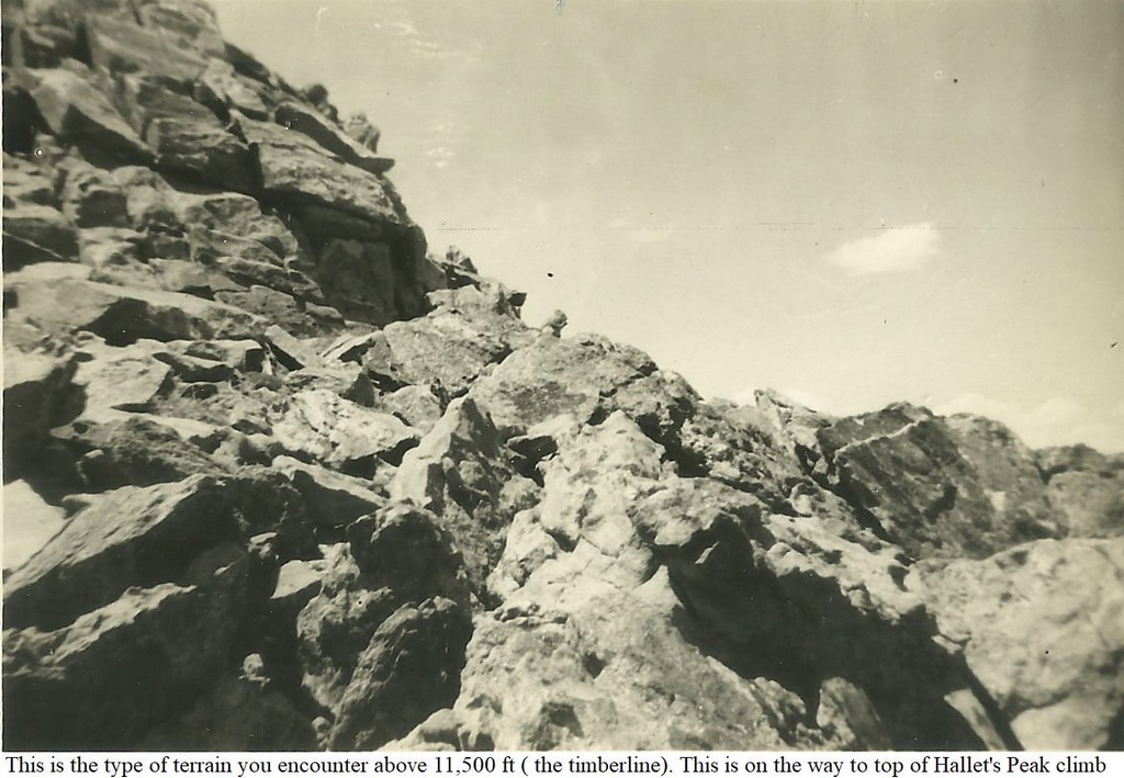 YMCA Camp