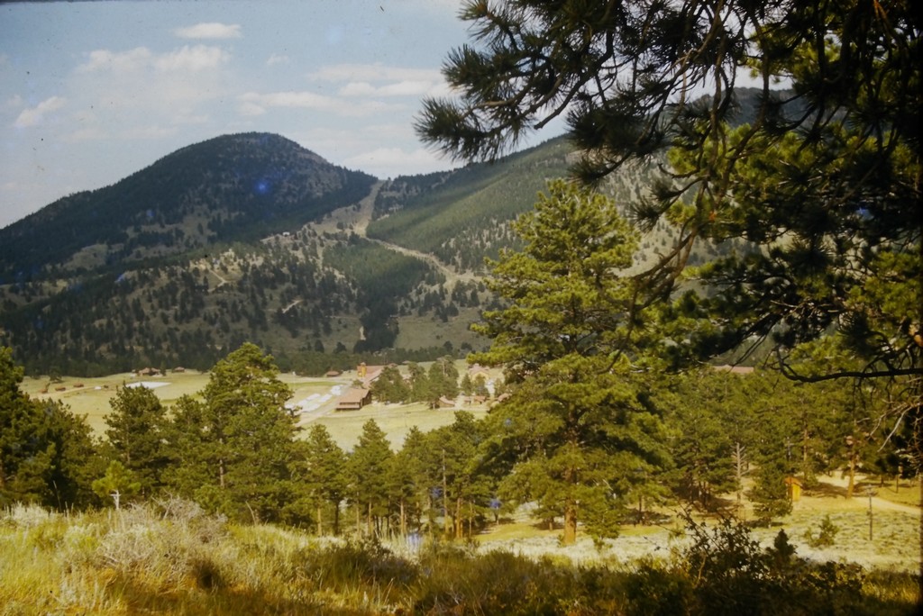 YMCA Camp