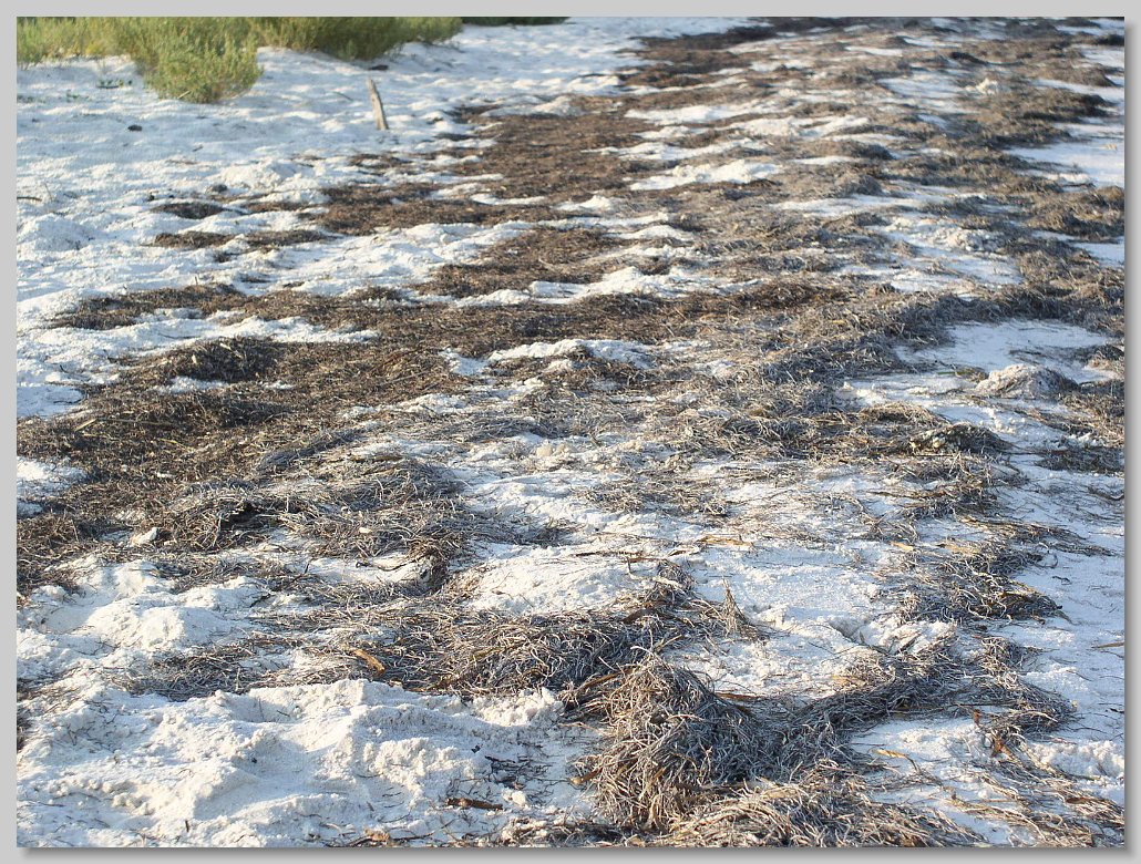 Bald Point State Park