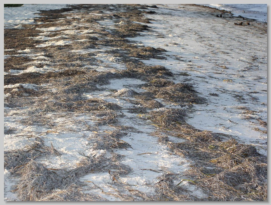 Bald Point State Park