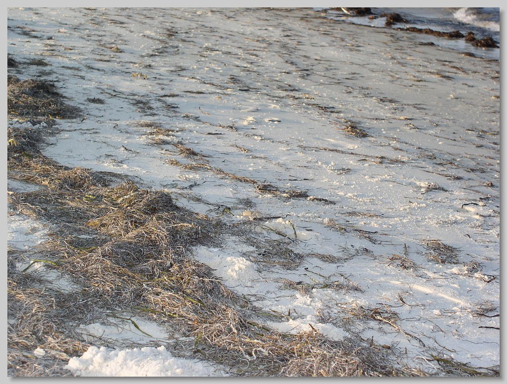 Bald Point State Park
