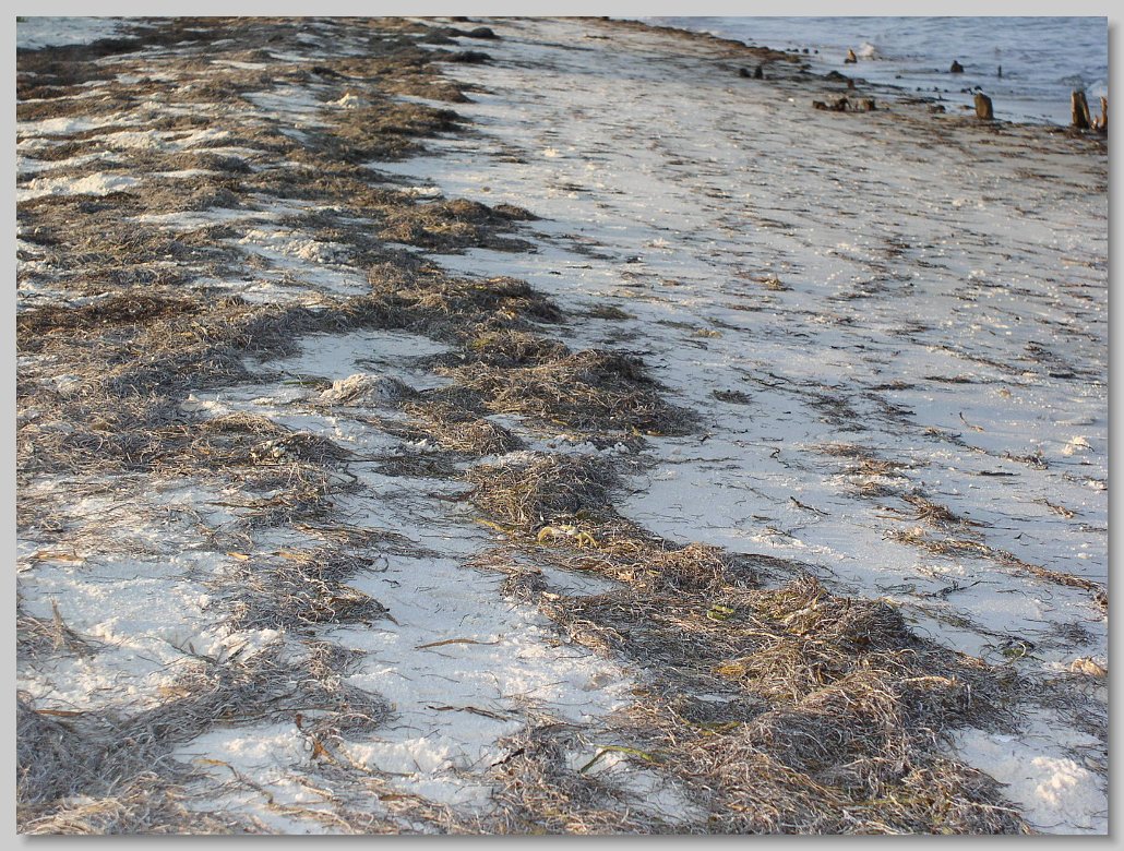 Bald Point State Park