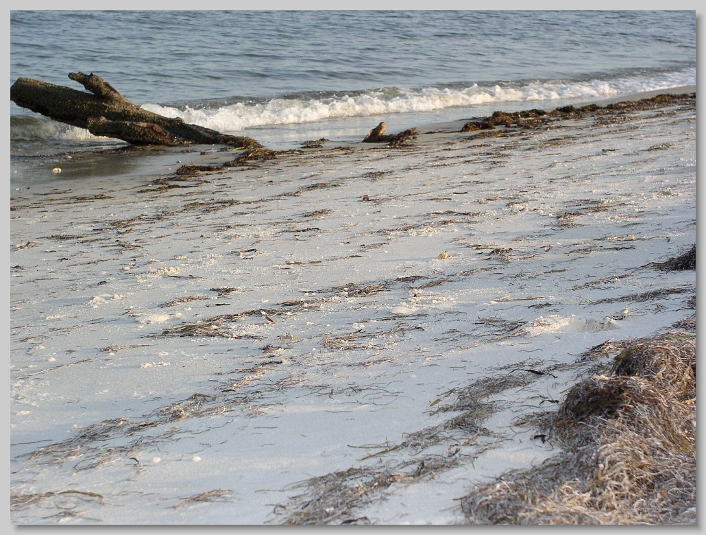 Bald Point State Park