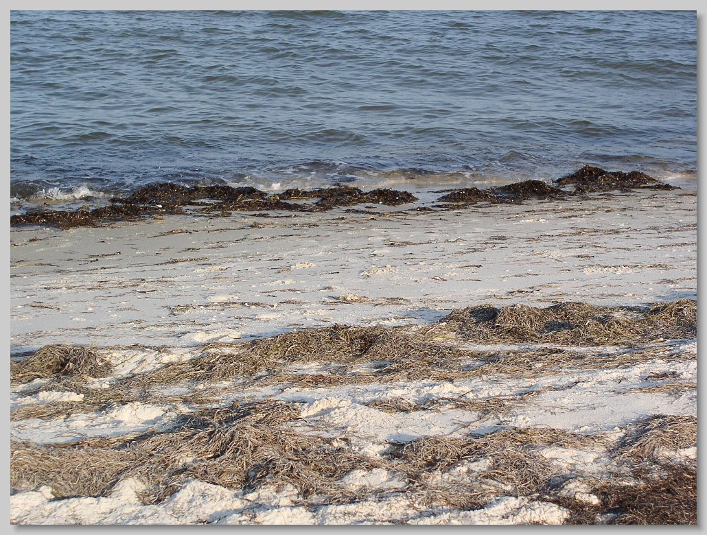 Bald Point State Park