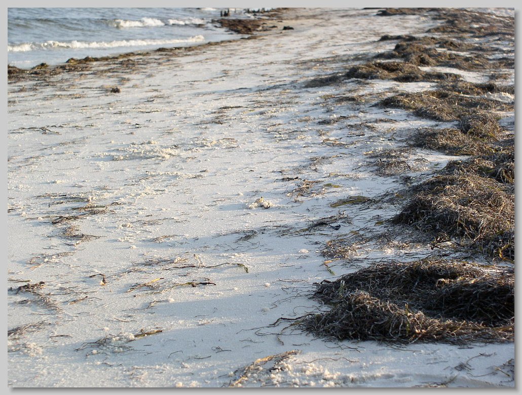 Bald Point State Park