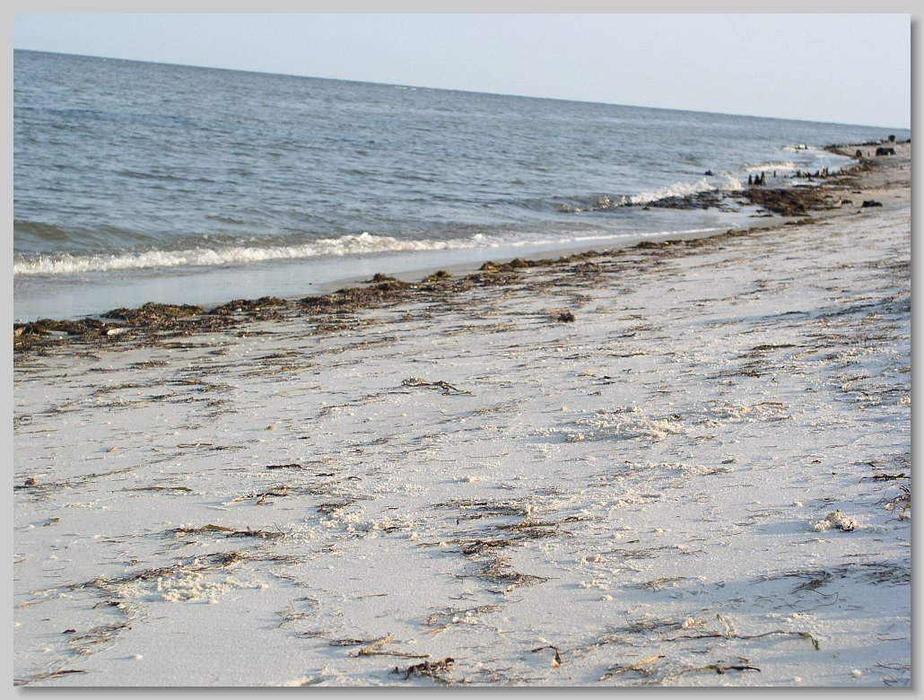 Bald Point State Park
