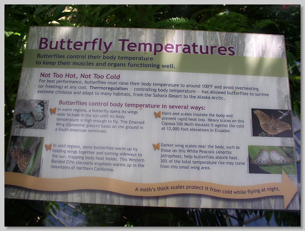 Butterfly House