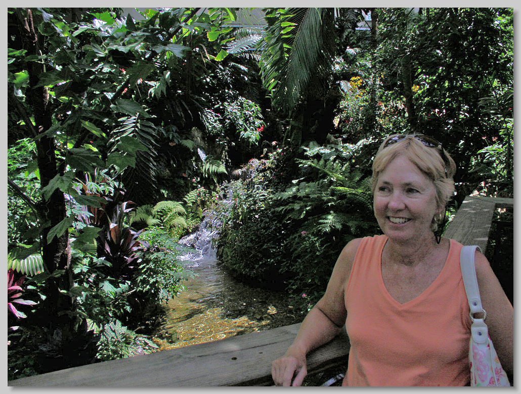 Butterfly House
