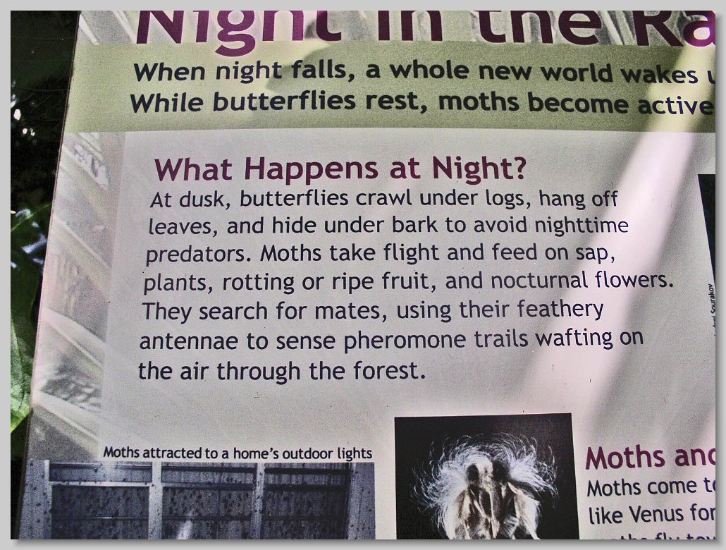 Butterfly House