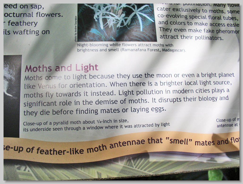 Butterfly House
