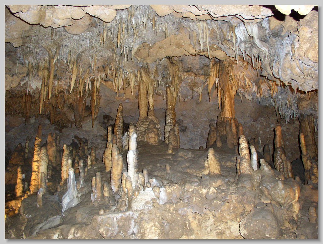 Florida Caverns State Park