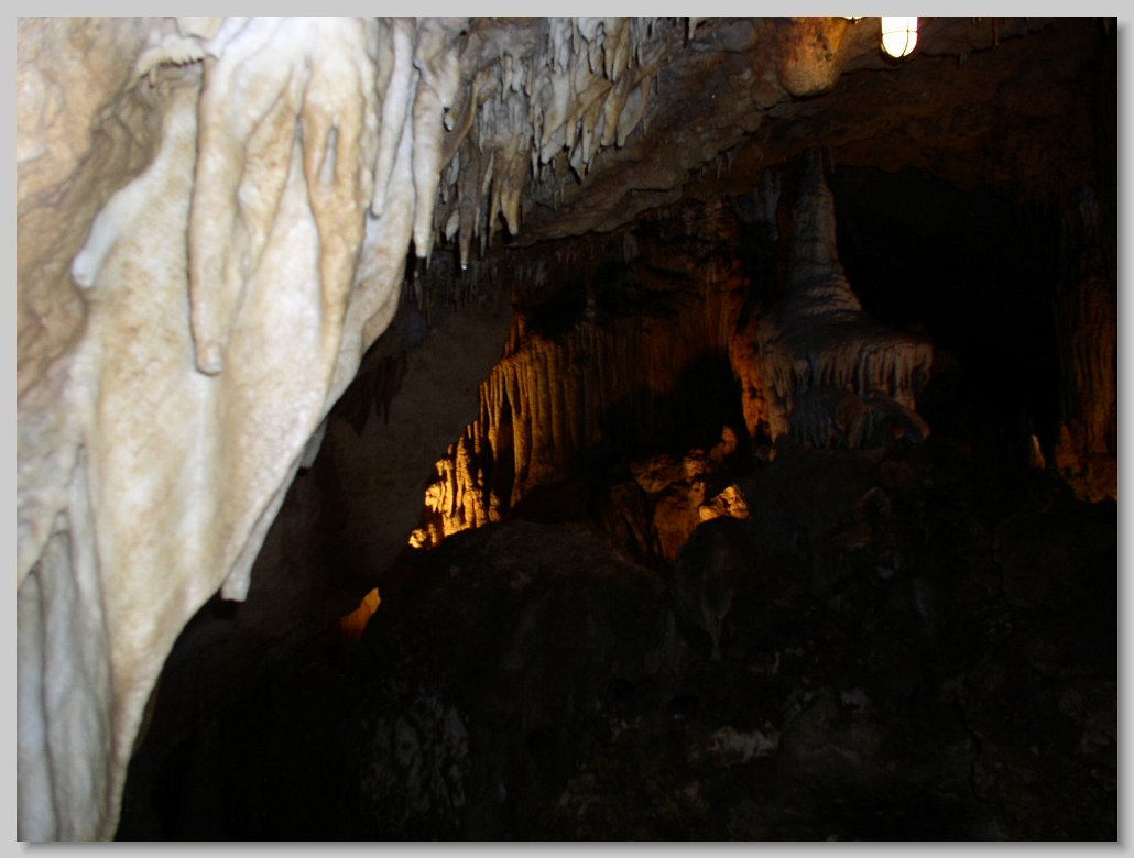 Florida Caverns State Park