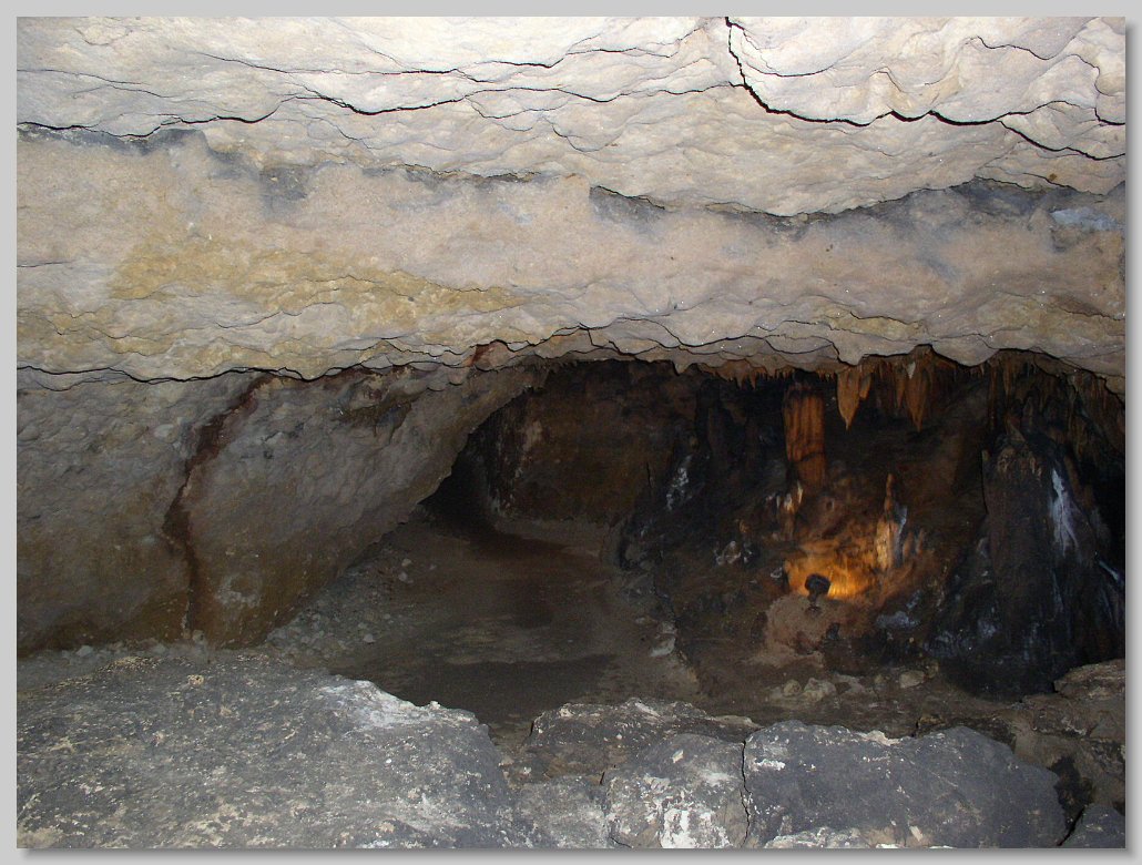 Florida Caverns State Park